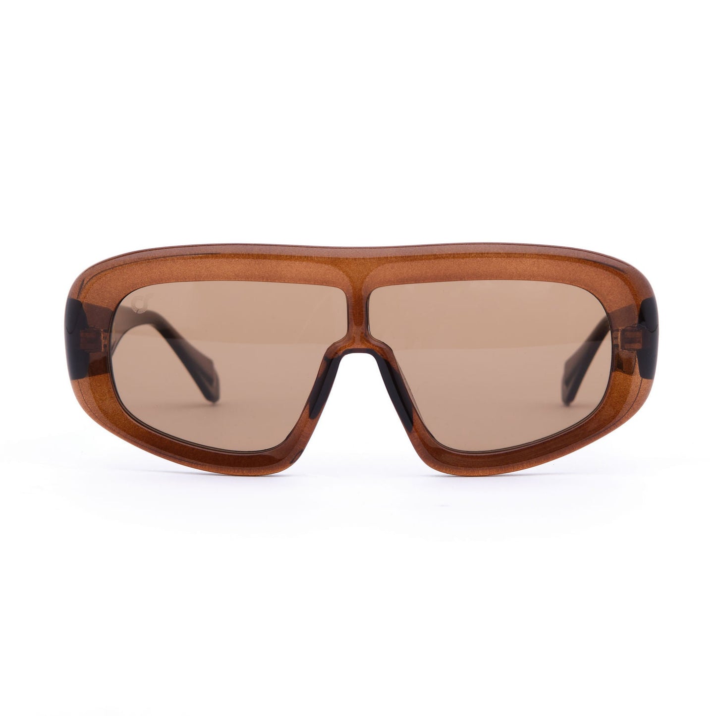 Oversize-frame Sunglasses
