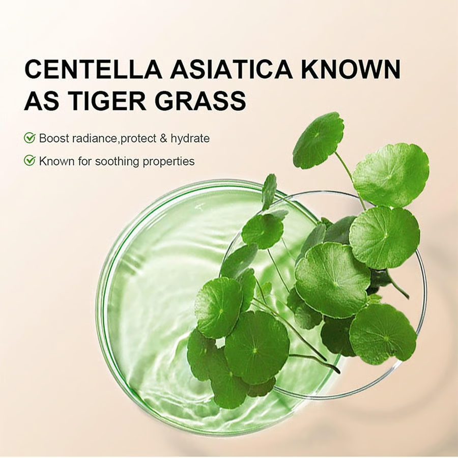 Hydrating CC Cream Foundation With Centella Asiatica