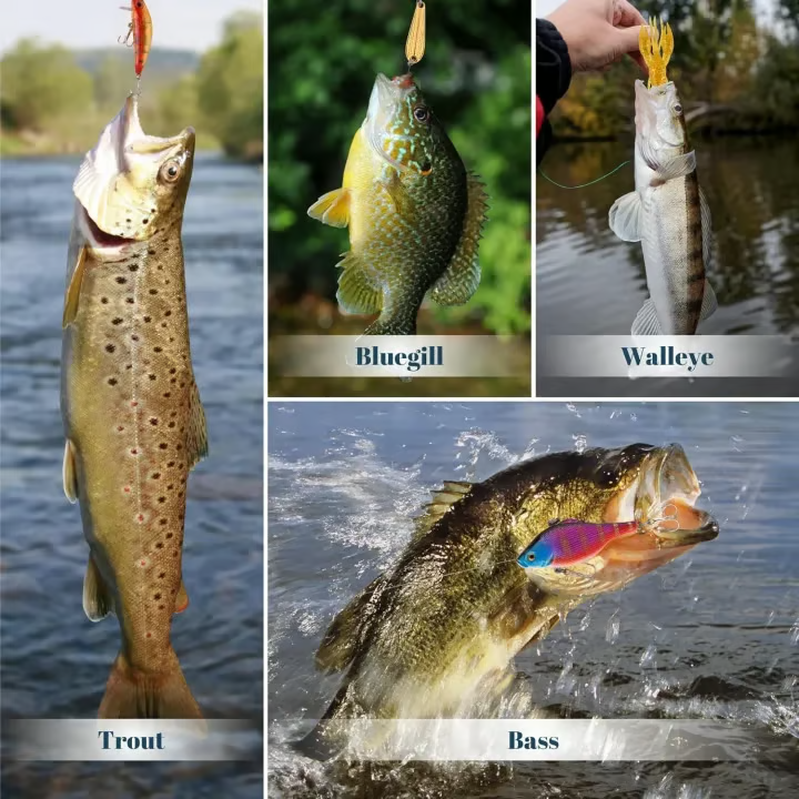 2025 Xmas Holiday Fishing Advent Calendar