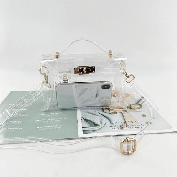 Gold Clear Jelly Satchel Bag